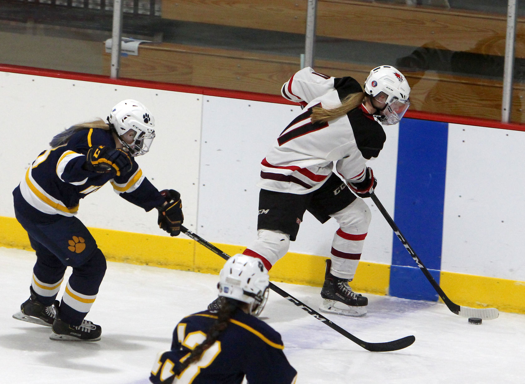 Girls Hockey State Championship: Chippewa Falls/Menomonie vs University School of Milwaukee in Wisconsin Rapids 2-20-21